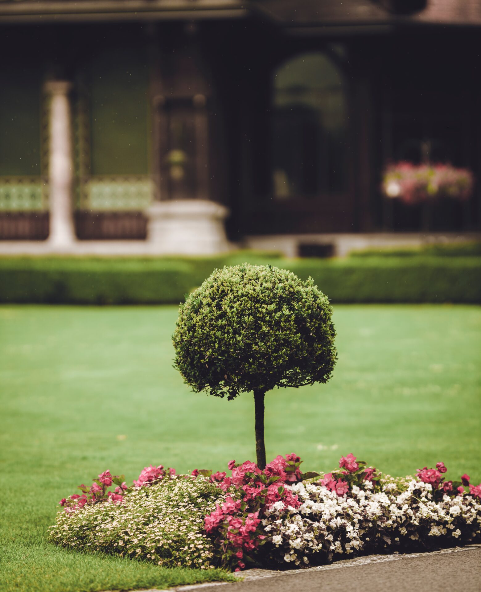 Kissel Landscaping